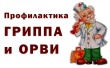 О гриппе и мерах его профилактики