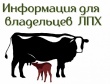 Владельцы личных подсобных хозяйств смогут получать господдержку.