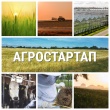 Объявлен конкурс на получение грантов "Агростартап"