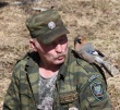 Отчет открытого фотоконкурса «Птицы в кадре». 