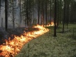 О безопасности на водных объектах и в лесах.