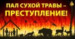 Пал сухой травы и отдых на природе. Ответственность