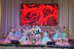 Обучающиеся и преподаватели Детской школы искусств представили для зрителей города и района удивительное представление - балет-феерия «Щелкунчик».