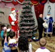 В детских садах, школах, учреждениях дополнительного образования и культуры прошли новогодние и рождественские елки.