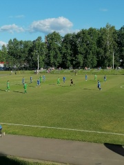 Вчера на стадионе «Труд» состоялся футбольный матч турнира межрегиональной федерации футбола «Золотое кольцо»