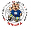 Региональный этап Всероссийских соревнований по мини-футболу.
