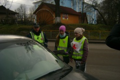 Проведенные мероприятия, посвященные Всемирному Дню памяти жертв ДТП