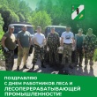 Сегодня в России отмечается День работников леса!