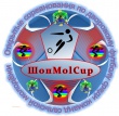Финишная прямая фестиваля по дворовому футболу «ШопMolCup» в селе Шопша