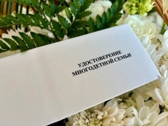 Продолжается выдача удостоверений многодетной семьи единого федерального образца. 
