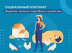 Социальный контракт на ведение личного подсобного хозяйства.