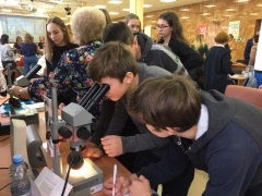 «Финансовый семейный фестиваль».