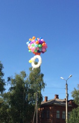 «Романовская овца – Золотое руно России»