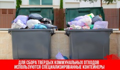 Ежемесячная плата за обращение с ТКО в Ярославской области будет ниже, чем в других регионах