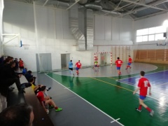 Чемпионат Ярославской области по мини-футболу среди муниципальных районов.