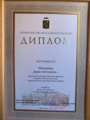 «Лучшая народная дружина» и «Лучший народный дружинник» 