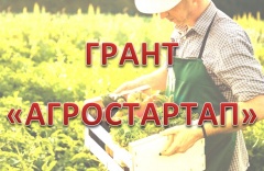 О проведении мероприятий по предоставлению грантов "Агростартап" в 2019 году.