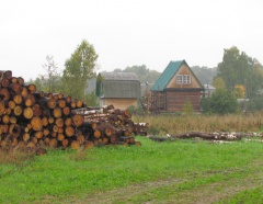 Запрет на вырубку лесов