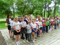 SAM_0311